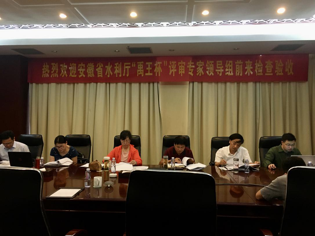 省水利厅专家组对池州水电申报“禹王杯”项目进行现场评审验收(图5)