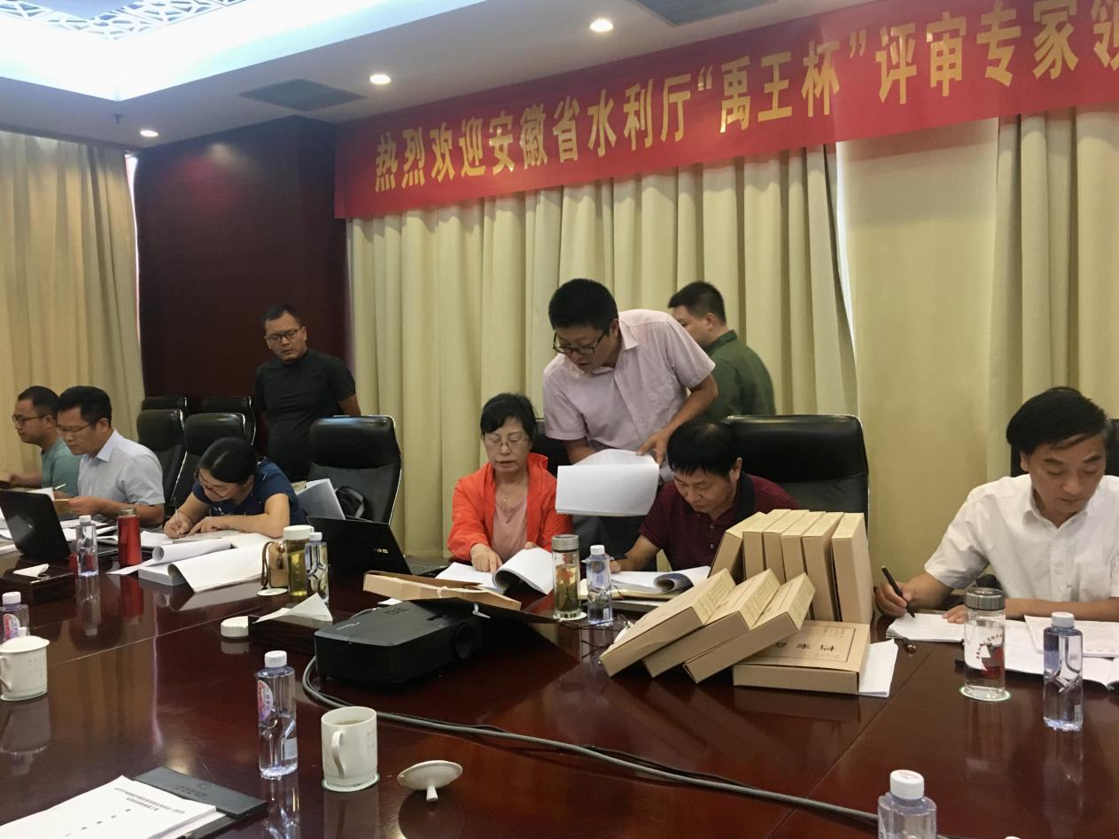 省水利厅专家组对池州水电申报“禹王杯”项目进行现场评审验收(图12)
