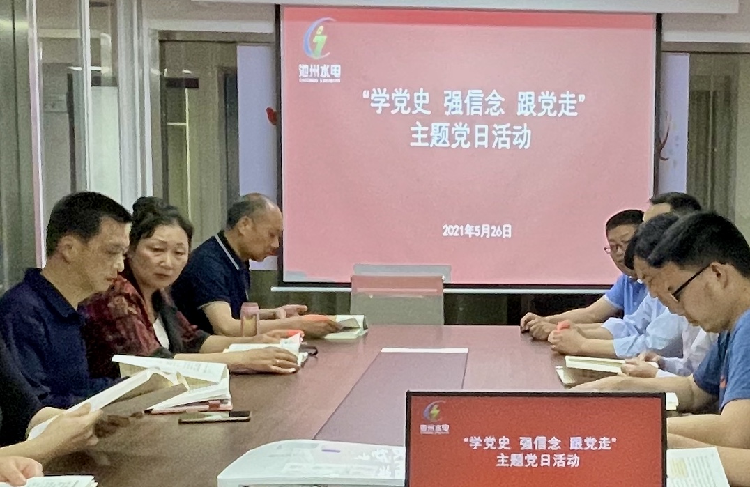 公司组织开展“学党史、强信念、跟党走” 主题党日活动(图1)