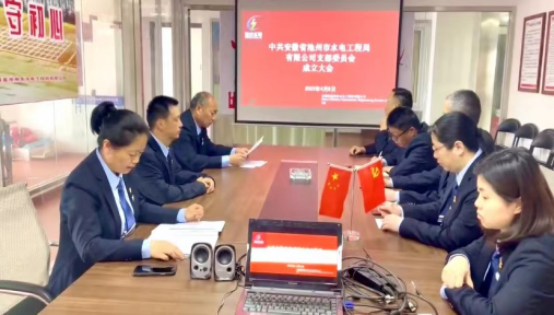 公司召开党支部成立大会暨支部委员会第一次会议(图2)