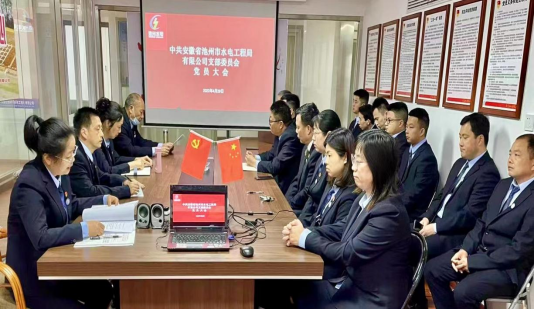 成立党员志愿者服务队 夯实党建工作基础