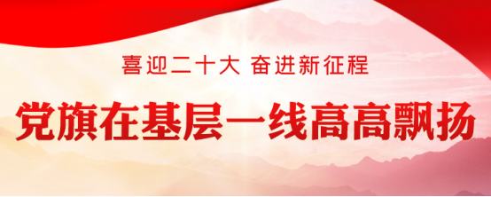 铸造实现民族复兴的先锋力量——党的十九大以来党员教育工作迈出高质量发展步伐
